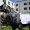 Saddle Pad for All Purpose