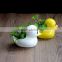 Cute mini duck ceramic pot home desktop decoration bonsai flower pots
