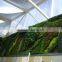 Aritifical plant wall for showing just a fake plant flower simulation wall