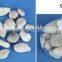 0.5kgs river stones bulk