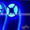 IP68 underwater 12V led light strip 5050, blue led strip light