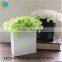 Square clear glass vase for homedecoration