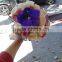 New Sale different shape Fresh mini colorful rose flower ball with 30cm 40cm