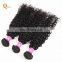 Quality Virgin Hair Bundles with Lace Closure Brazilian Hair Closure Mink Hair Closure