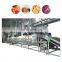 Vegetables and fruits drying line equipment for dehydrated onion