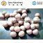 New design automatic fishball maker for meat processing industry shrimp ball forming machine