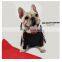 Spring Dog Clothes Hoodie Fashion Summer Letters Printed Coat Corgi Teddy Schnauzer Pomeranian Pet Clothing
