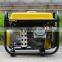 Bison Power Petrol Generator 12v dc 1.0kw 900w 850w 800w Portable Petrol Gasoline Generator