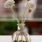 ger Aroma Fragrance perfume Glass air Diffuser Bottle for home glass bottle