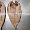 Good quality frozen one night dried ataka mackerel gutted