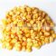 Sinocharm BRC A Approved IQF Frozen Sweet Corn Frozen Corn Kernels