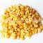 IQF Frozen Sweet Corn Frozen Corn Kernels super sweet