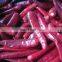 New Crop Jinta Beijinghong IQF Frozen  Red Chilli with Competitive Price