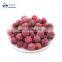 Tropical Fruit Yungmei Bayberry Frozen Waxberry