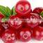 100% nature Cranberry P.E.Cranberry Juice Powder Extract