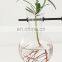 Handmade sets of Rectangle Shape Wood Hydroponics Flower Pot Bulb Glass VaseTerrariums Air Planter