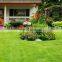 Cheap turf grass artificial grass roll for wall