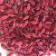 organic dried fruit goji berry