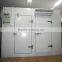 China hinged door for cold room,hinged door manufacture