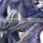 Frozen mahi-mahi fish WR scientific name Coryphaena hippurus