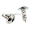 stainless steel screw nails with high quality