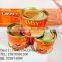 70g*100tins canned tomato paste to Middle East,brix:28-30%