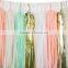 Color Confetti Tissue Paper Tassel Garland Party Decoration