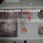 Inkjet banner printer digtial advertising banner flex printing machine
