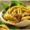 Single Polished Turmeric Fingers