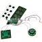Programmable Factory Wholesale Flash Light Voice IC Chip /led Flash Music ic Chip for Vivi