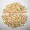 All Grade Vietnam cashew nuts For ASEAN Market