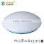 2014 Unique Design 2835 SMD LED Ceiling Light