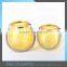 Hot Sale Hanging Tealgith Holder Tea Light Lantern Glass Globe Tealight Holders