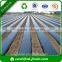 100% PP polypropylene non woven weed control fabric in agriculture fabric