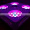 Dual Veg/Flower Spectrum Grow Light 800w LED with Super COB Module