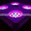 Dual Veg/Flower Spectrum Grow Light 800w LED with Super COB Module