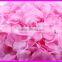 pink rose petals