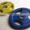 Color Olympic Bumper Plates Weight with Steel Ring