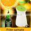 Greenhouse ultrasonic air freshner water atomizer trvel humidifier parts