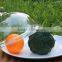 low price eco-friendly high transparent easy clearn acrylic plexiglass material dome