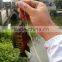 2.8cm/2.5g Fishing Spoon Lure Sequin Paillette Metal Hard Bait Hook Tackle Gold