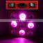 2000w Led Grow Light Aquaponics Growing Systems Full Spectrum Grow Led