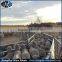 1.8X2.1 Heavy Duty Galvanized Cattle Panel