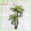 Big Artificial Two Plastic Trunk Palm Trees for House Deocration