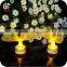 Pool Decorations Color Changing Led Butterfly Light