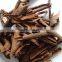 cassia broken from China