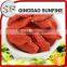 New crop export dried organic goji berries from Ningxia origin