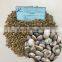 ROBUSTA COFFEE BEANS, HIGH QUALITY GOOD PRICES