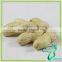 Peanuts In Shell 11/13 Size