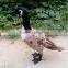 stuffed birds ornaments taxidermy figurine duck